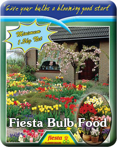 Fiesta Bulb Food