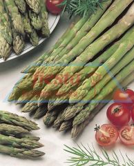 Asparagus_2.jpg