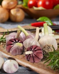 Garlic Creole